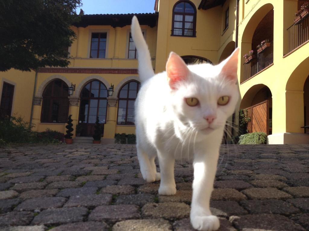 Villa Soleil Colleretto Giacosa ภายนอก รูปภาพ