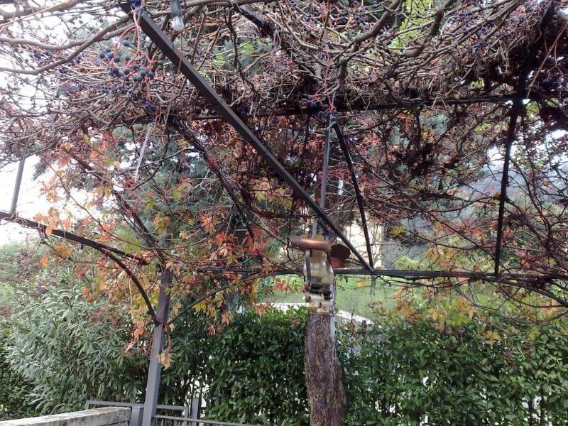 Villa Soleil Colleretto Giacosa ภายนอก รูปภาพ